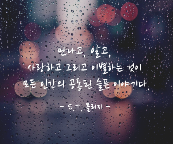 빗물이 맺힌 유리창 위에 이별 명언이 적혀있다