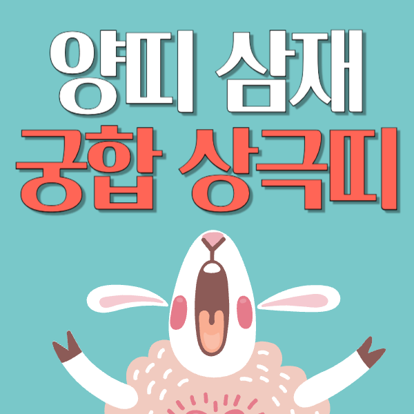 양띠 삼재 잘맞는띠 상극띠