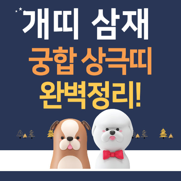 개띠 삼재 궁합 상극띠