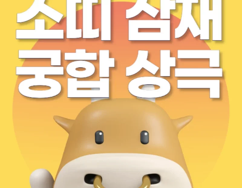 소띠 삼재 궁합 상극