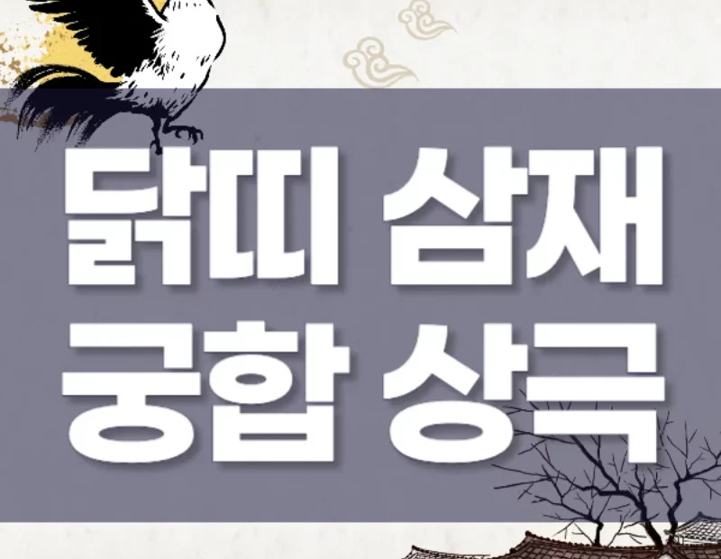닭띠 삼재 궁합 상극띠 총정리