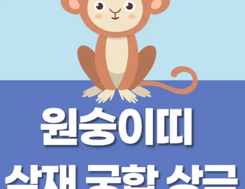 원숭이띠 삼재 상극 잘맞는띠 설명