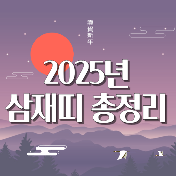 2025년 삼재띠 총정리