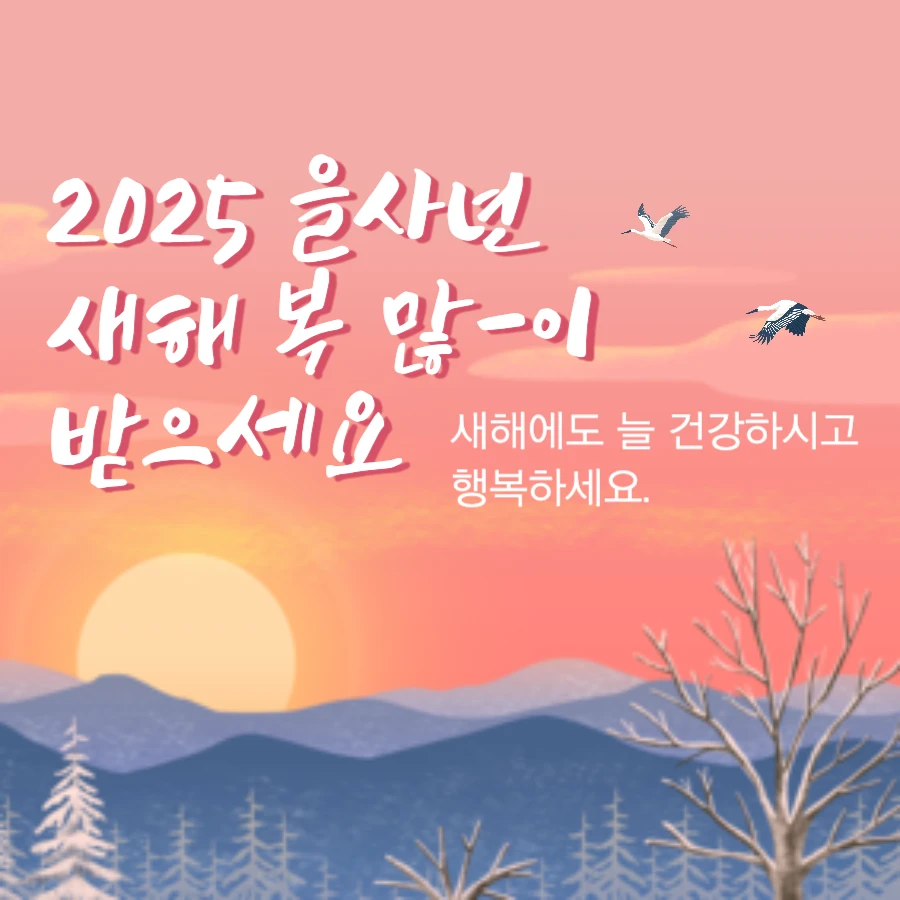 2025년 을사년 설날 인사말