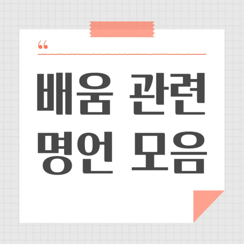 배움 명언 모음