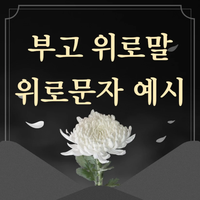 부고 위로말 위로 문자 예시