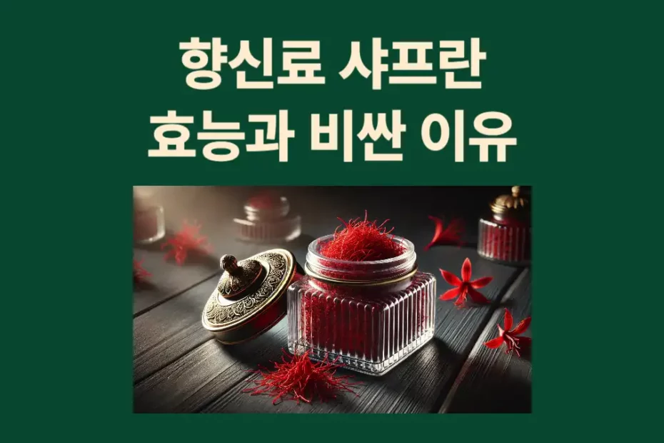 향신료 샤프란 효능 비싼 이유