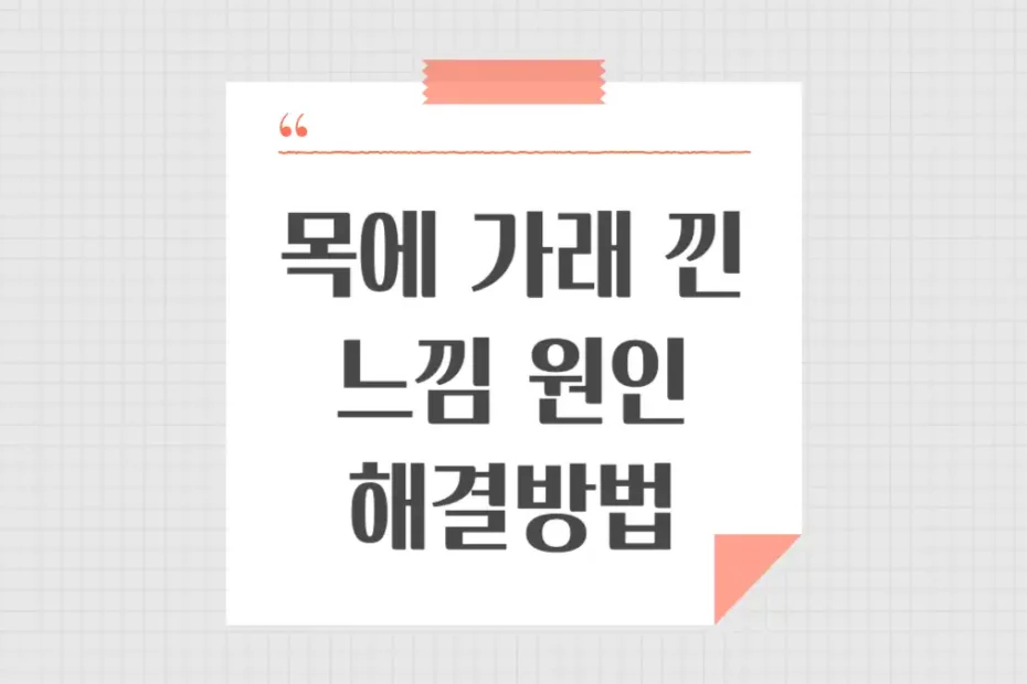 목에 가래낀 느낌 원인 빼는법