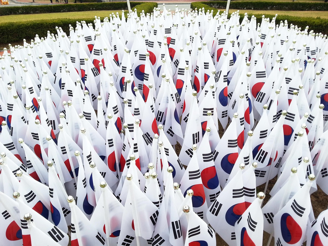 잔디밭에 빼곡하게 꽂혀 있는 작은 태극기 수백 개